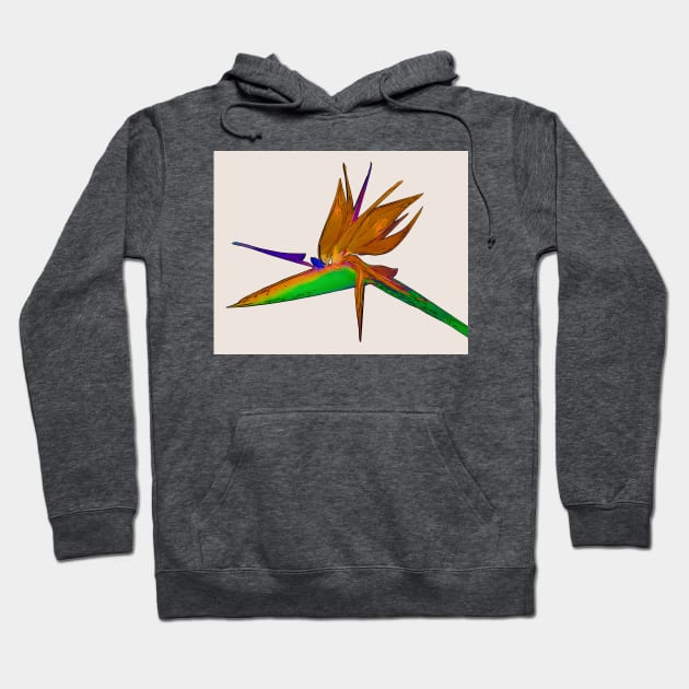 Tropical Bird Of Paradise Watercolor Hoodie by KirtTisdale